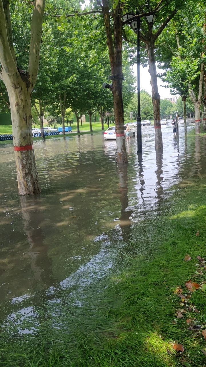 【晚8点红包】固安暴雨袭城，这个点你在干嘛？用一张图来证明5003 作者:家庭保洁 帖子ID:331948 