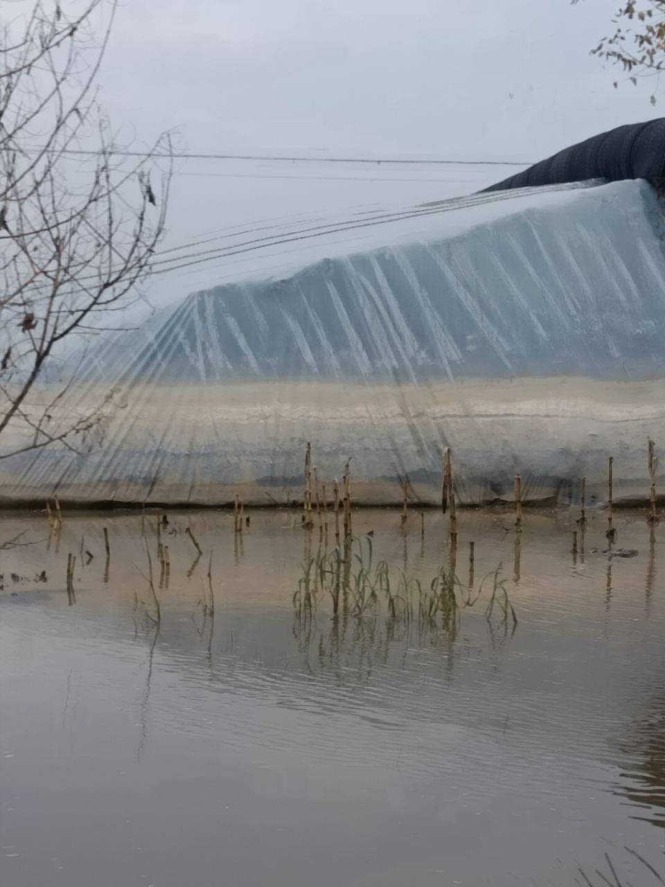 【晚8点红包】固安暴雨袭城，这个点你在干嘛？用一张图来证明6544 作者:酒逢知己千杯少 帖子ID:331948 